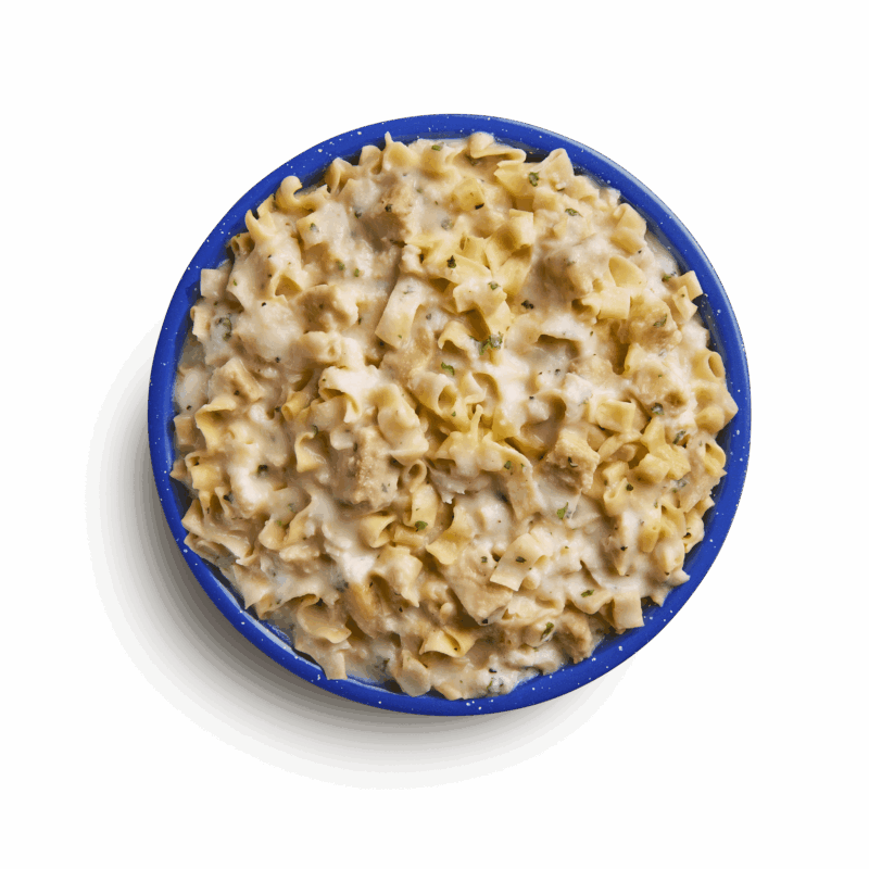 fettuccine-alfredo-with-chicken-prepared-freeze-dried-food MOUNTAIN HOUSE #10 CAN